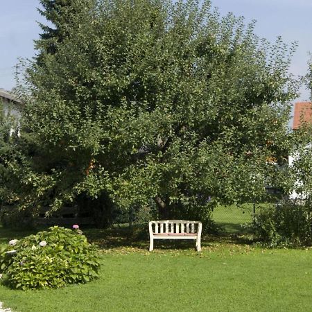 Gaestehaus Gamsei - Bosch Hermann Grassau  Exteriör bild